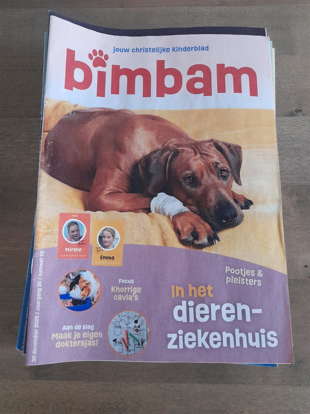 Bijna alle BimBam 2025, Ophalen of Verzenden, Gelezen