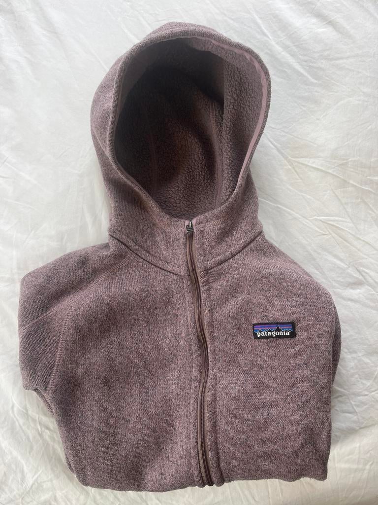 Patagonia Better Sweater Hoody - Maat M, Ophalen of Verzenden, Zo goed als nieuw, Maat 38/40 (M), Paars