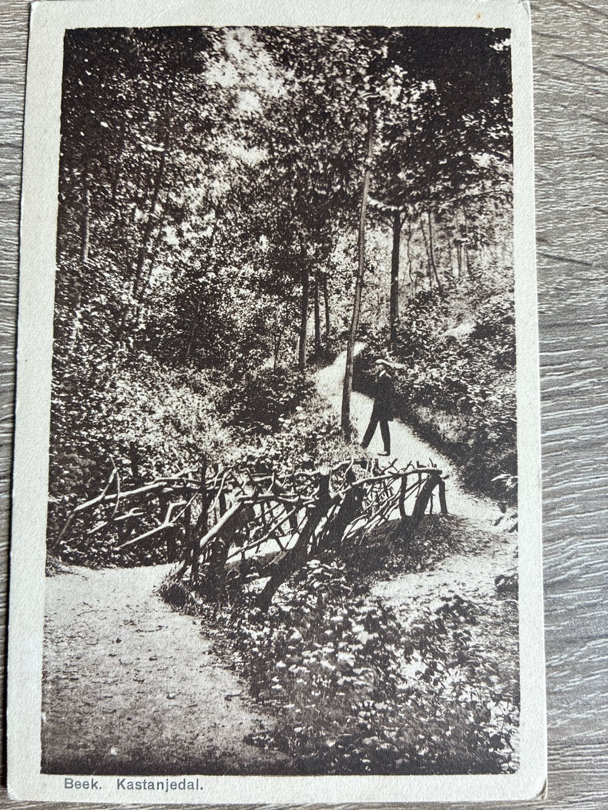 Oude Ansichtkaart Beek, Kastanjedal Nijmegen, Verzamelen, Ansichtkaarten | Nederland, Ophalen of Verzenden, Voor 1920, Gelopen