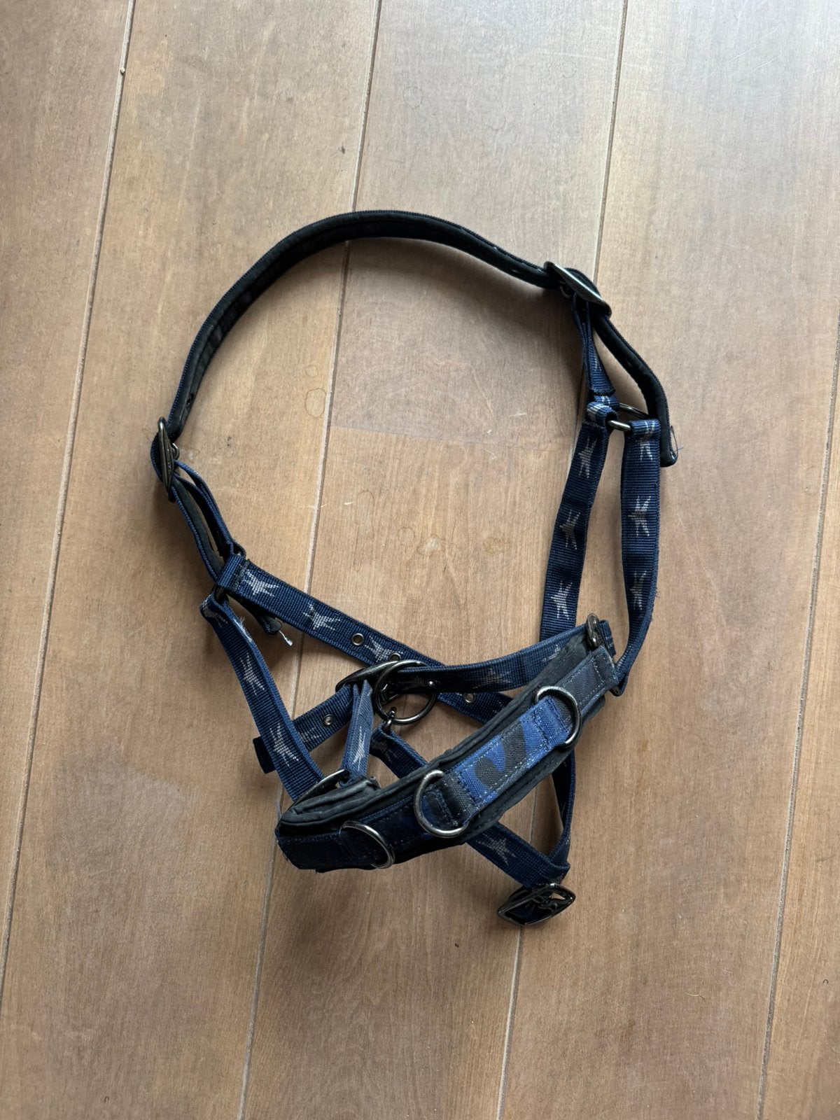 Kaptoom paard, Ophalen of Verzenden, Zo goed als nieuw, Kaptoom, Full