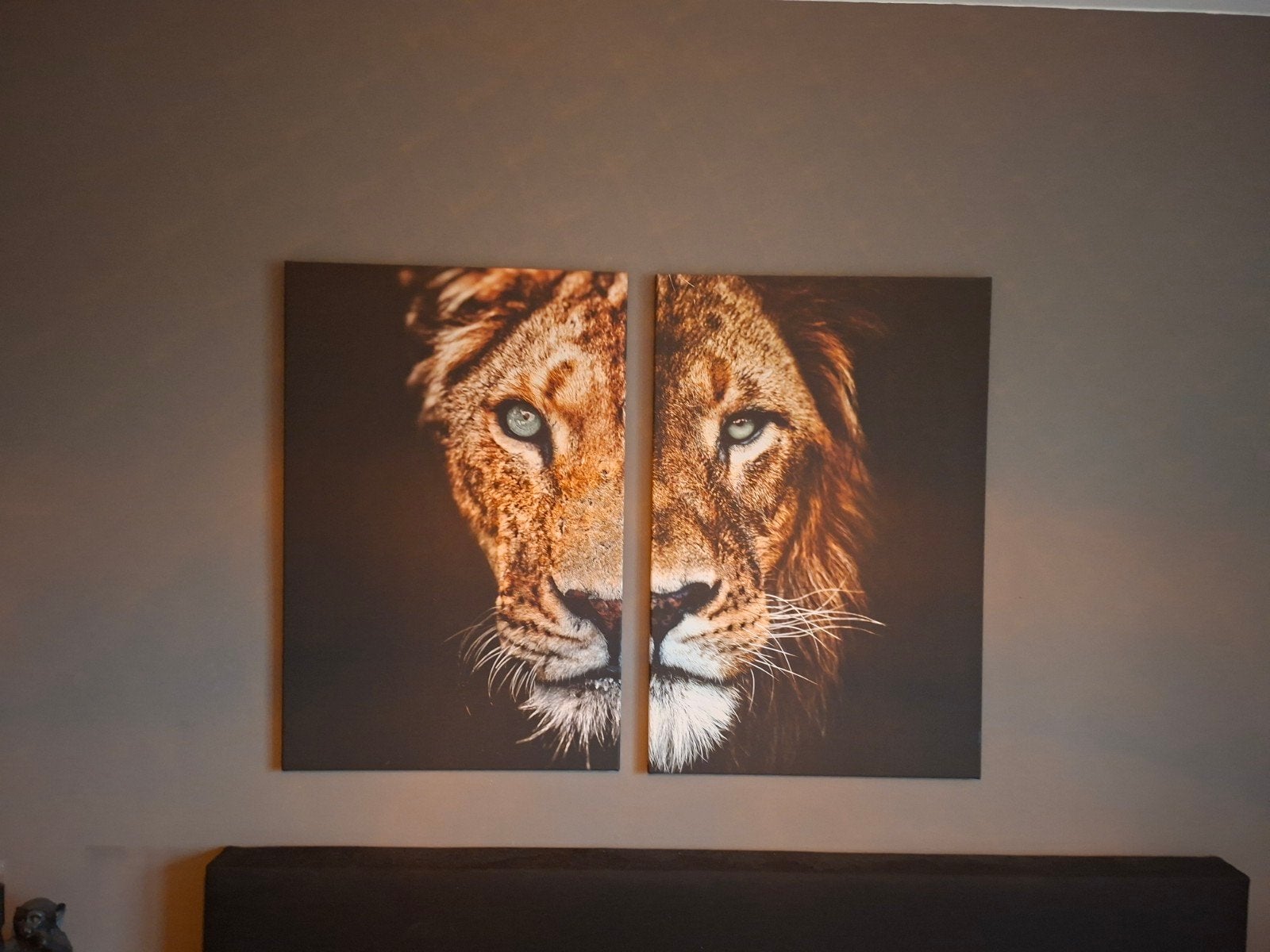 Leeuwenkoppen Schilderij - 90x60cm, Ophalen, Zo goed als nieuw, Schilderij, 75 – 100