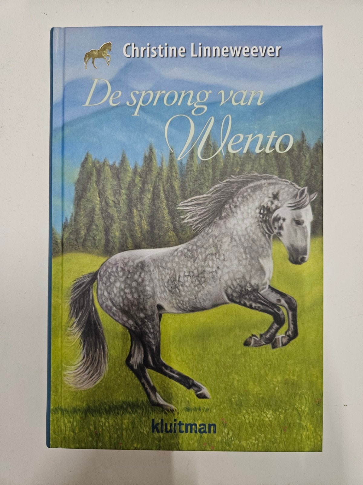 De sprong van Wento, Ophalen of Verzenden, Fictie algemeen
