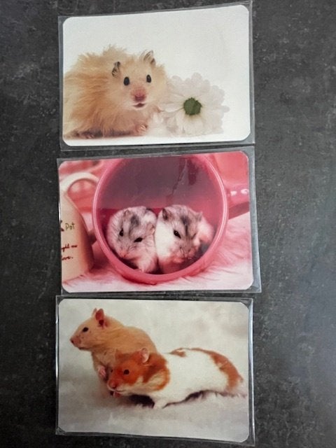 Magneten Magneet x 3, Hamster, Nieuw in Blister, Verzamelen, Beelden en Beeldjes, Ophalen of Verzenden, Nieuw, Dier