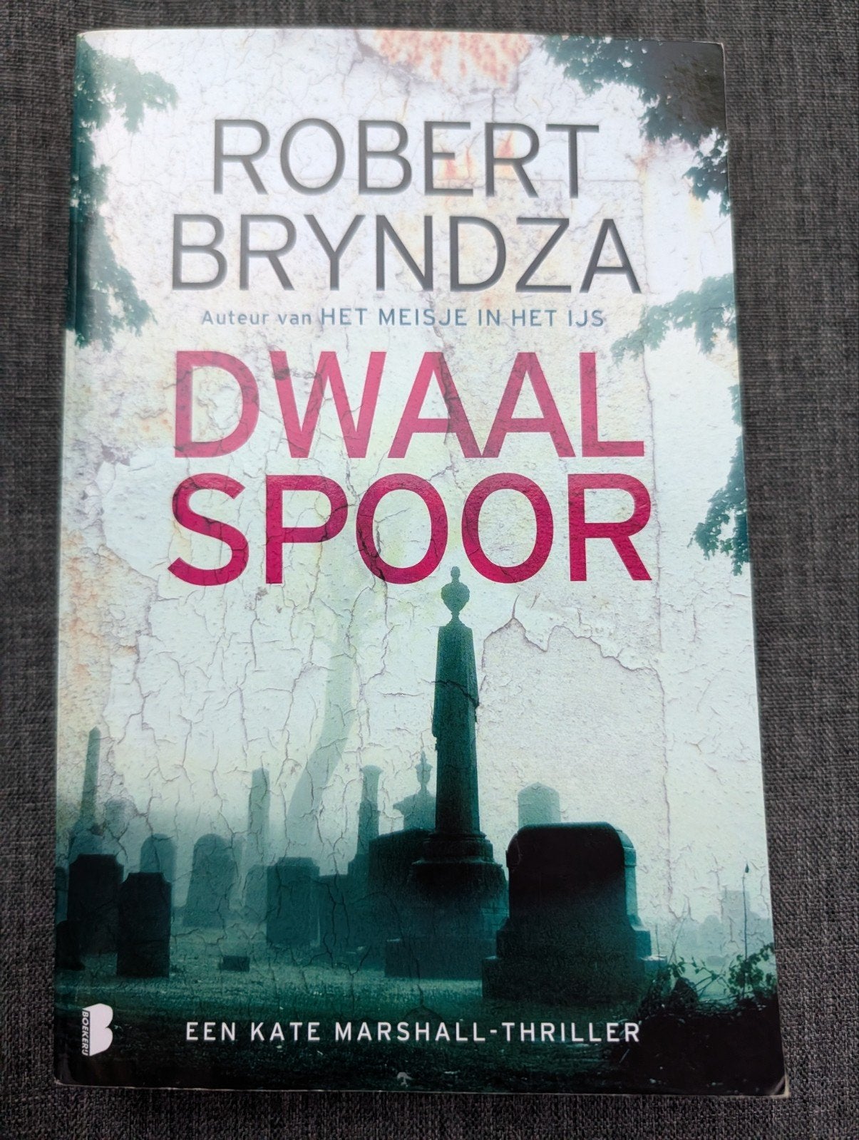Dwaalspoor - Robert Bryndza, Europa overig, Robert Bryndza, Ophalen of Verzenden, Zo goed als nieuw