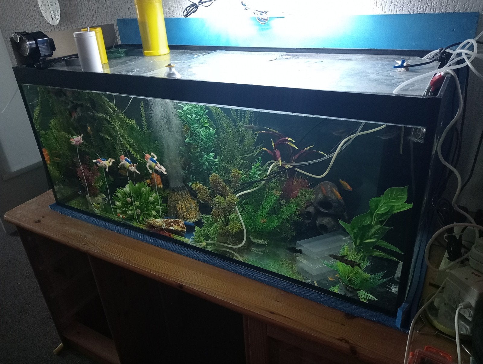 Leeg groot aquarium Zie omschrijving Zie omschrijving, Ophalen, Zo goed als nieuw, Leeg aquarium