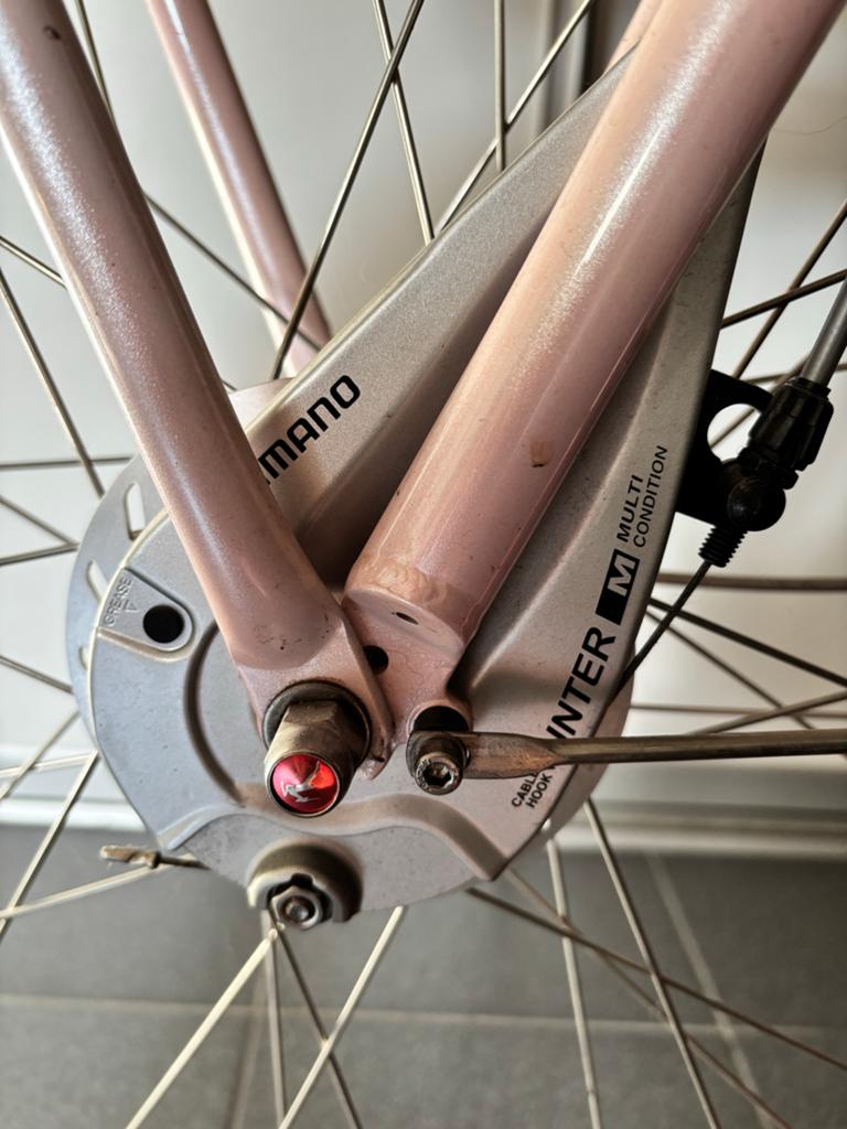Gazelle Miss Grace mamafiets - Roze - 3 versnellingen, Fietsen en Brommers, Fietsen | Dames | Moederfietsen, Terugtraprem, Gebruikt