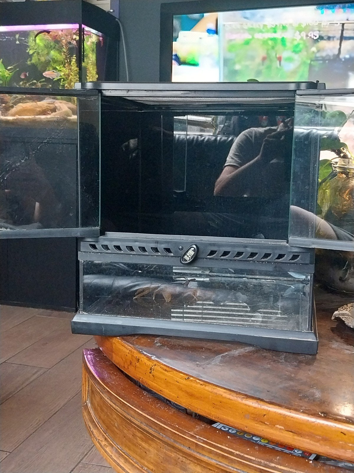 Exo terra 30x30, Dieren en Toebehoren, Reptielen en Amfibieën | Toebehoren, Ophalen, Zo goed als nieuw, Terrarium of Paludarium