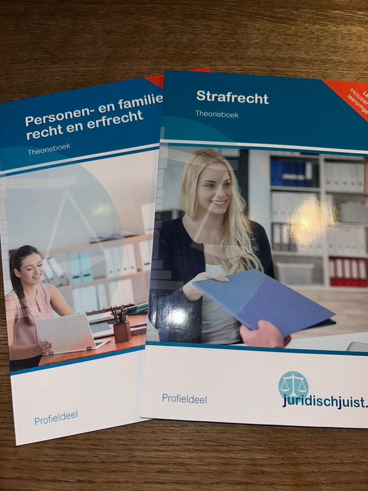 Personen- en familierecht en erfrecht + Strafrecht, Ophalen of Verzenden, Zo goed als nieuw, Overige niveaus, Nederlands