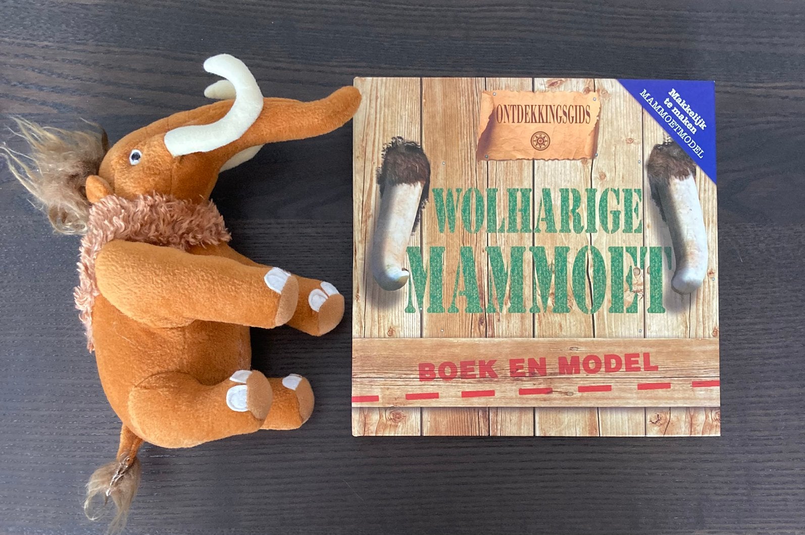 Ontdekkingsgids Wolharige mammoet+ knuffel mammoet, Ophalen of Verzenden, Zo goed als nieuw
