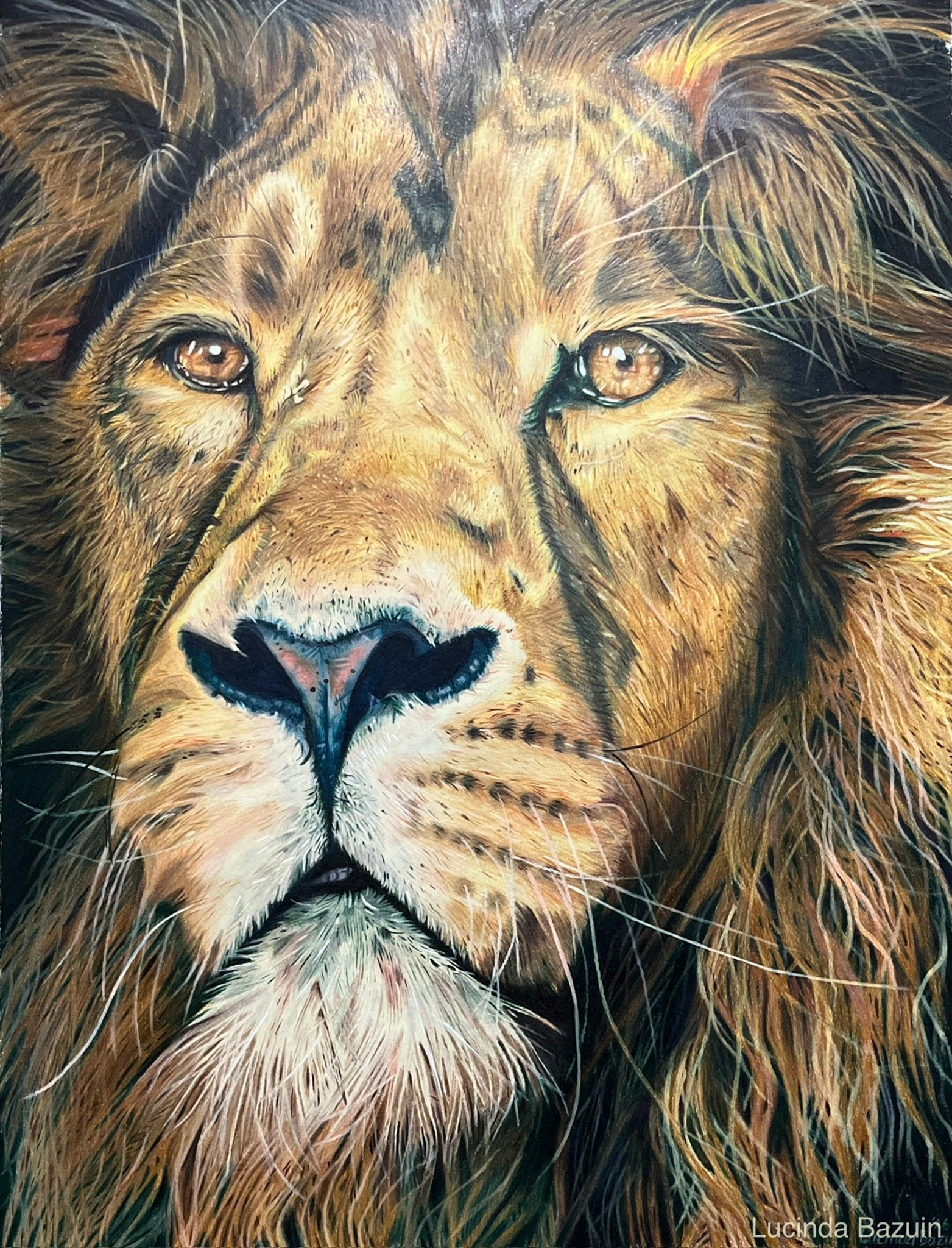 Indrukwekkend Leeuwenportret - Kleurpotlood Tekening 65x50cm, Ophalen of Verzenden