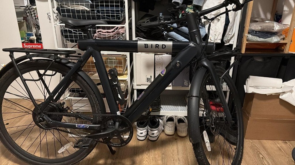 Elektrische fiets Bird A Frame Belt drive, Fietsen en Brommers, Ophalen, Gebruikt, 30 tot 50 km per accu, Overige merken