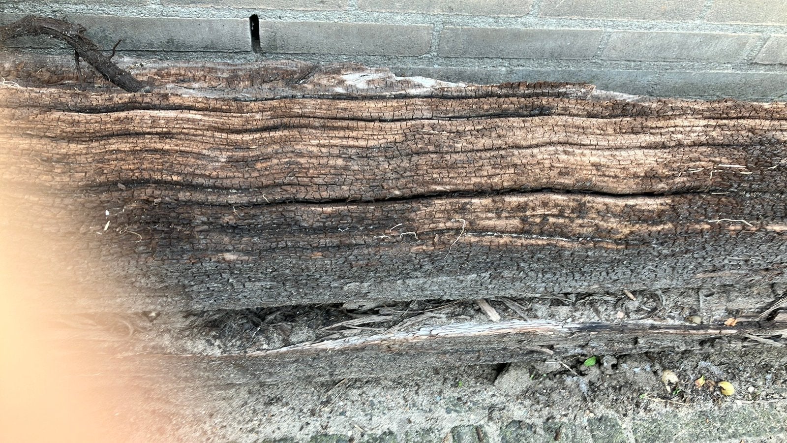2 bielzen, Ophalen, Gebruikt, Biels, 200 cm of meer