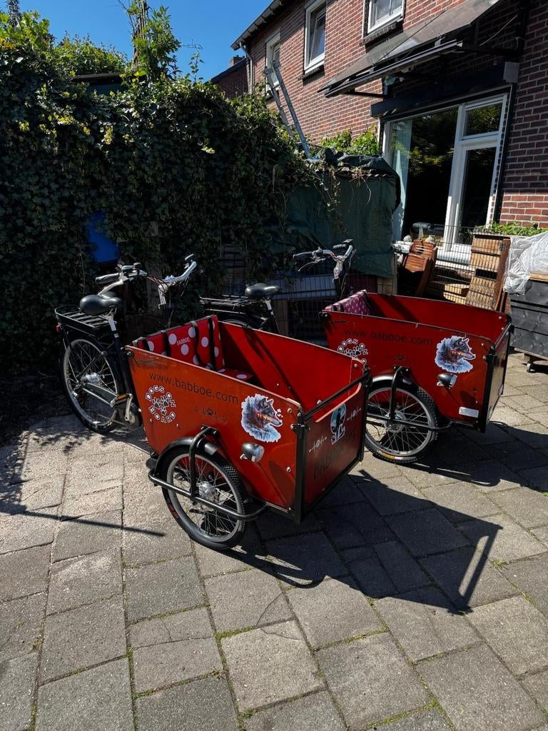Babboe dog  elektrische. gekeurd ! Dog, Ophalen, 4 kinderen of meer, Huif