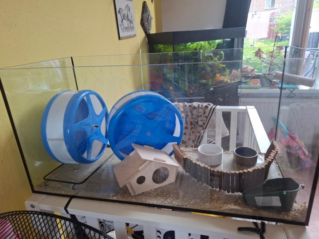 Glazen Hamsterbak, Kooi, Minder dan 75 cm, Ophalen, Minder dan 60 cm