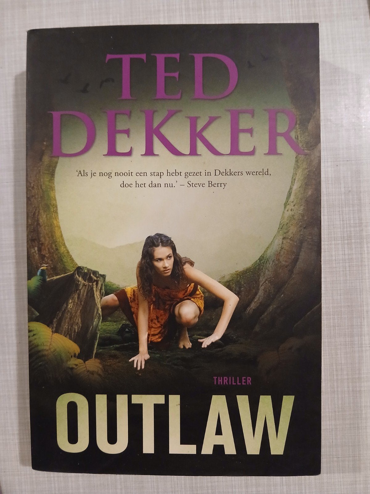 Ted Dekker - Outlaw, Ophalen of Verzenden, Zo goed als nieuw, Ted Dekker