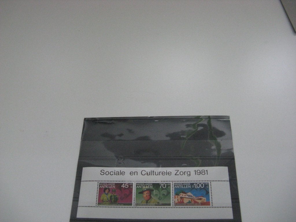 Nederlandse antillen blok  1981, Postzegels en Munten, Ophalen of Verzenden, Postfris