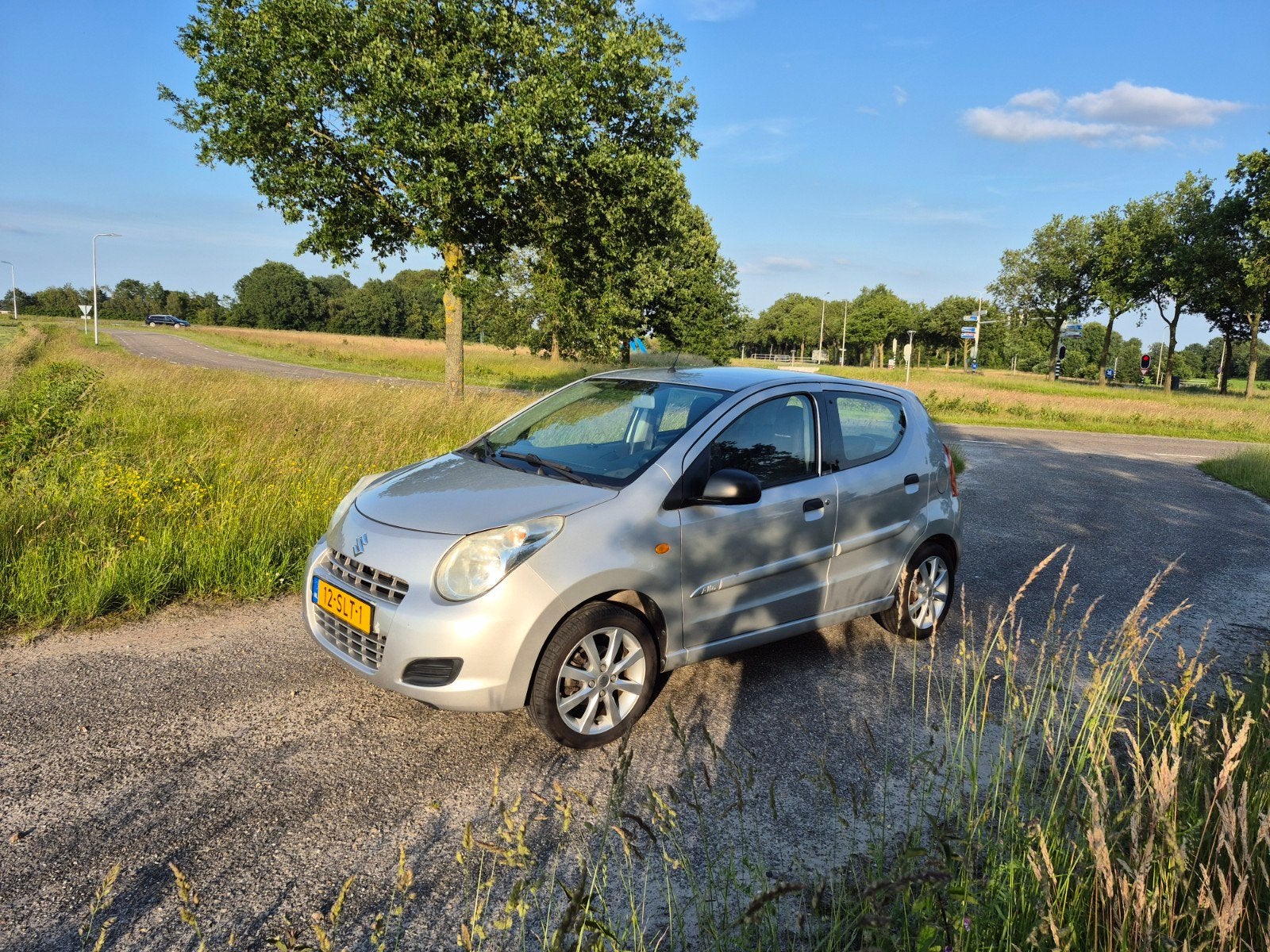 Suzuki Alto 1.0 2011 Grijs, Voorwielaandrijving, Euro 5, 200 kg, 4 stoelen