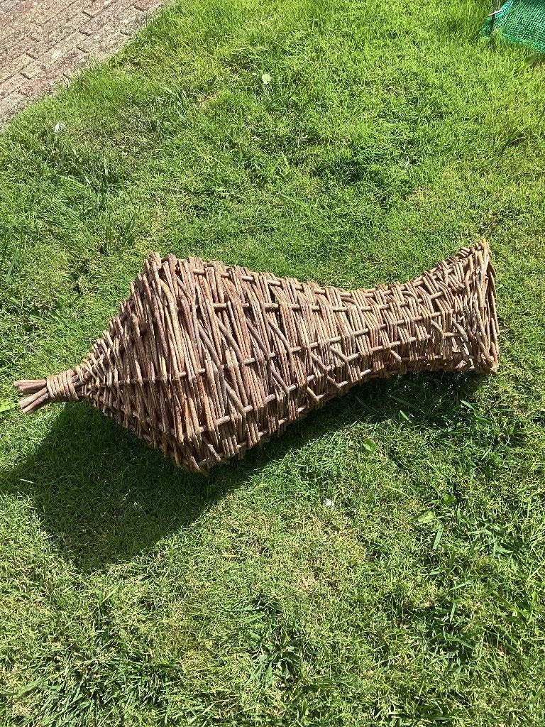 Te koop eendenkorf, Dieren en Toebehoren, Vrouwelijk