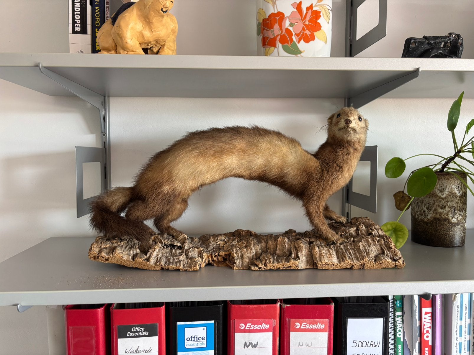 Mooie opgezette bunzing of … vintage, Ophalen of Verzenden, Zo goed als nieuw, Vogel, Opgezet dier