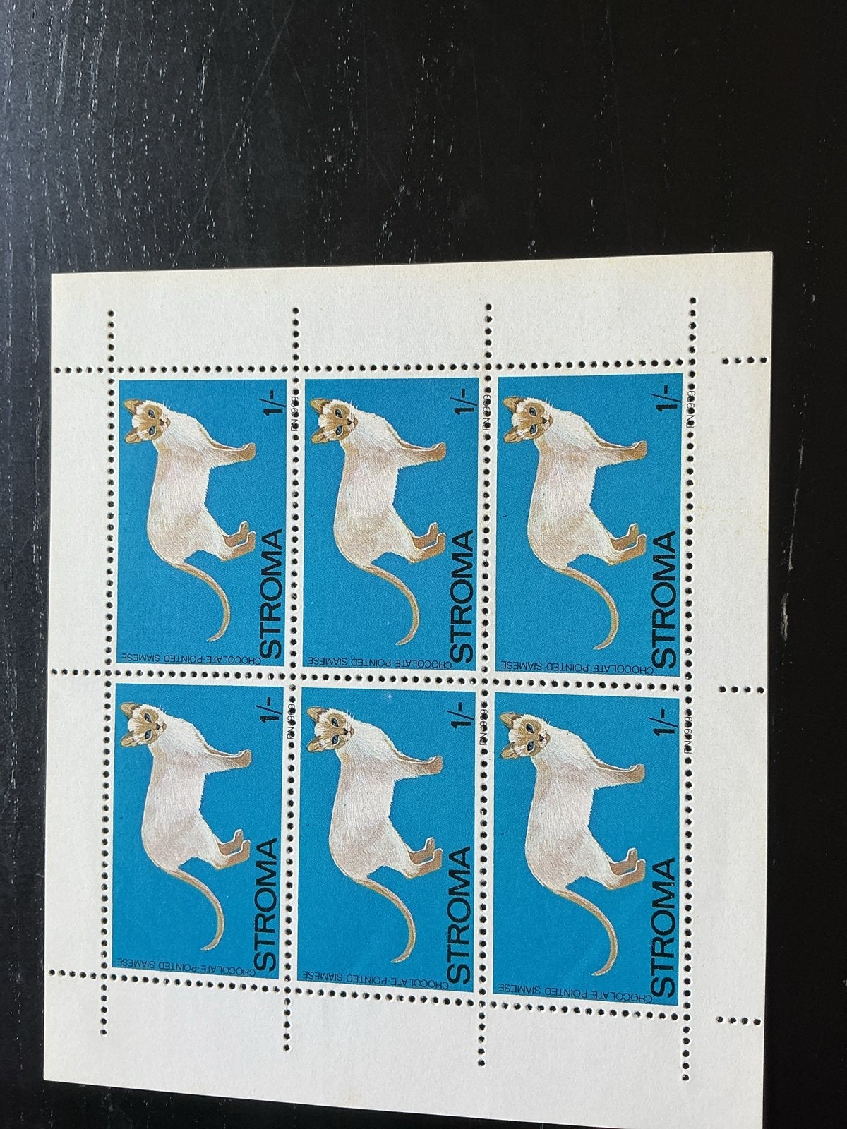 Stroma postzegels - Kattenrassen (5 vellen), Ophalen of Verzenden, Postfris, Overige thema's