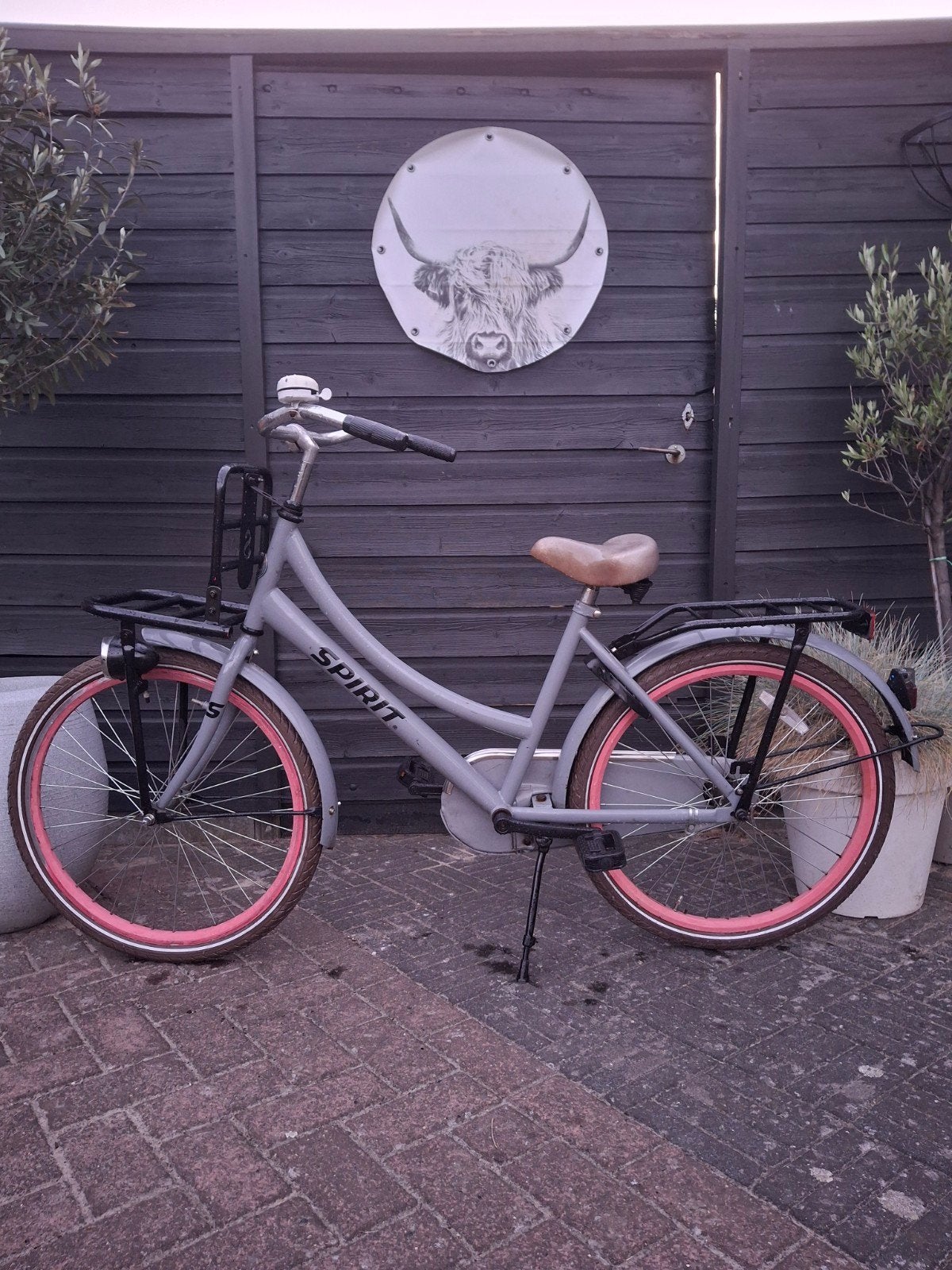 Spirit meisjesfiets transportfiets kinderfiets 24 inch, Ophalen, Gebruikt, Terugtraprem, Alpina Loekie Popal Batavus Sparta Volare Gazelle Supersuper