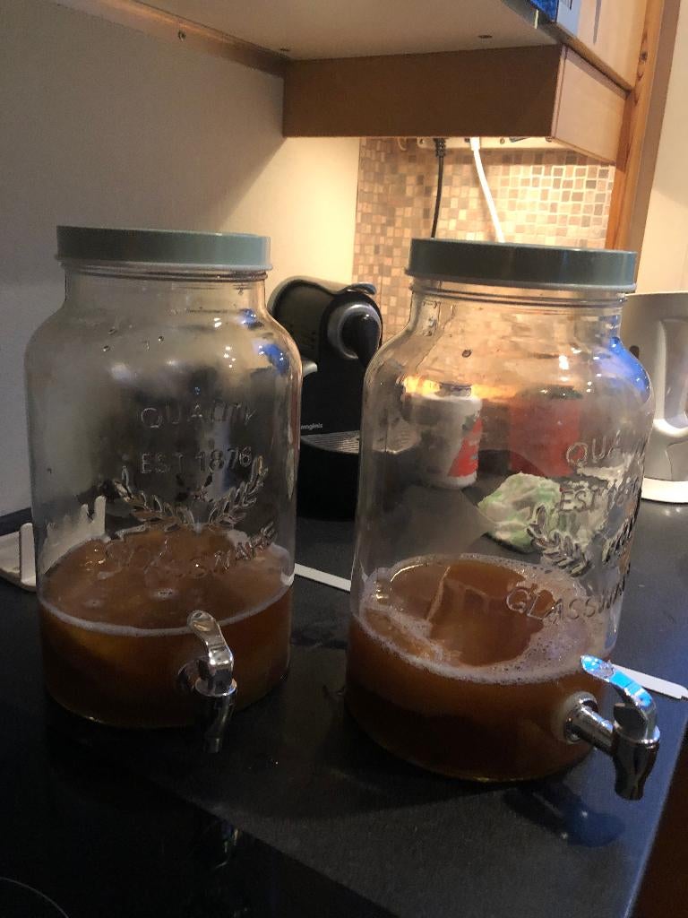 Kombucha zwam Scoby met kan of hotel., Ophalen, Gebruikt, Poeder of Drank