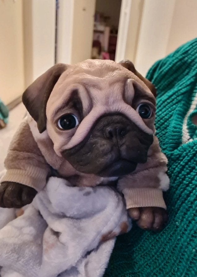 Reborn Puppy, Ophalen of Verzenden, Zo goed als nieuw, Pop, Levensecht of Reborn