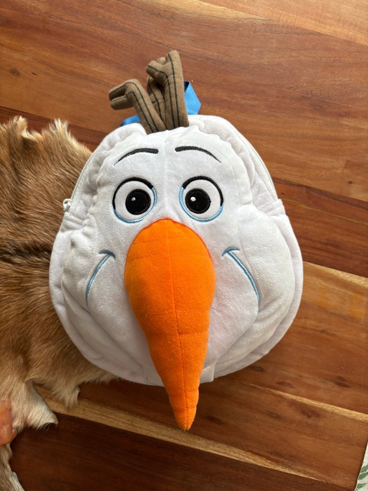 Disneyland Olaf Frozen Rugzak Schooltas - Zo goed als nieuw, Disney of Dora, 25 tot 40 cm, Ophalen of Verzenden, Zo goed als nieuw