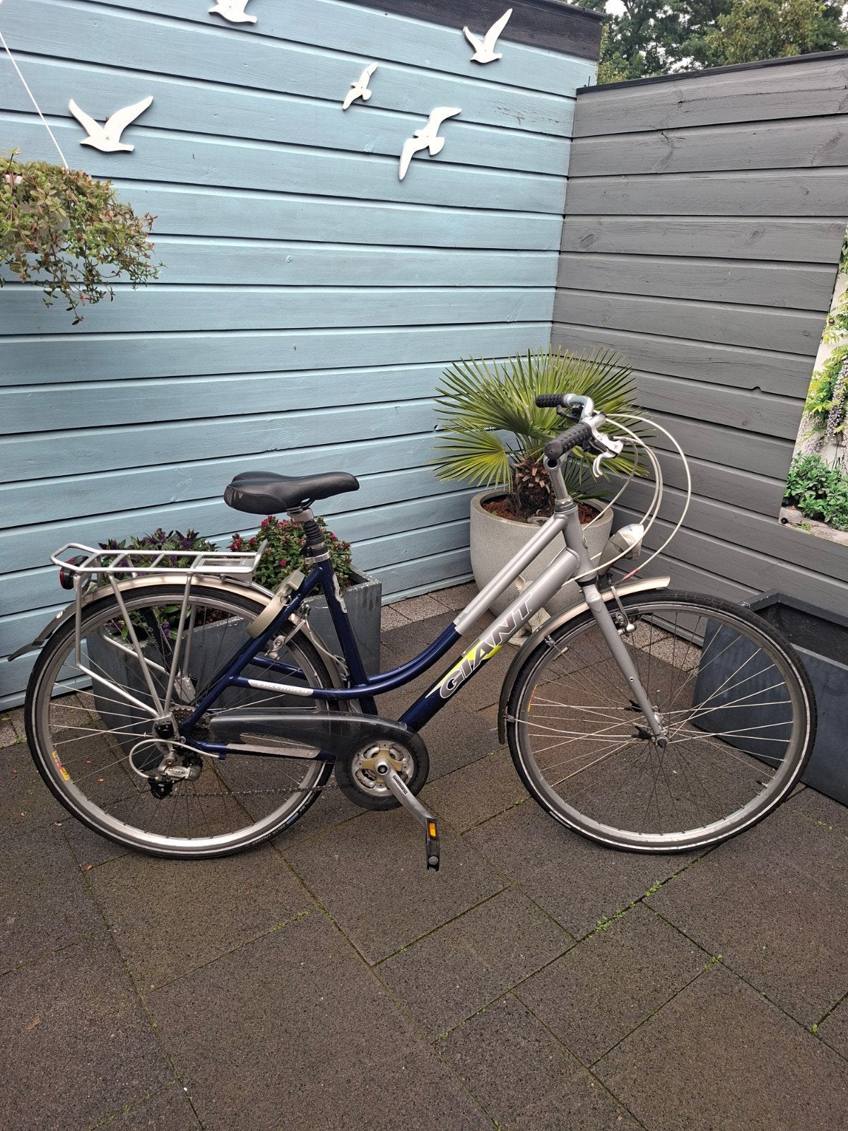 Giant freerider 50 cm fram, Fietsen en Brommers, 50 tot 53 cm, Ophalen of Verzenden, Zo goed als nieuw, Giant