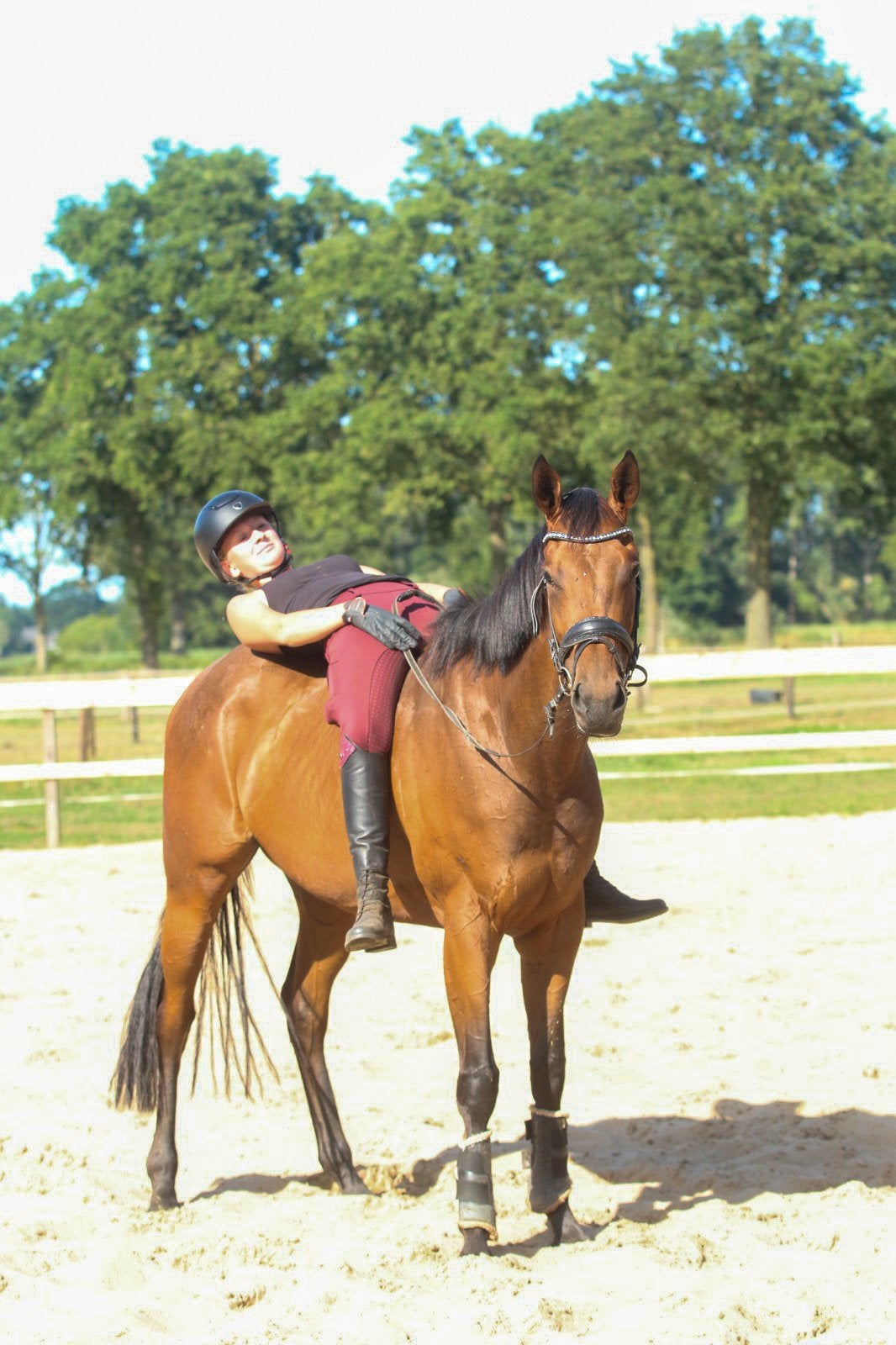 Super lieve E pony!, Dieren en Toebehoren, B, 3 tot 6 jaar, Merrie, Gechipt