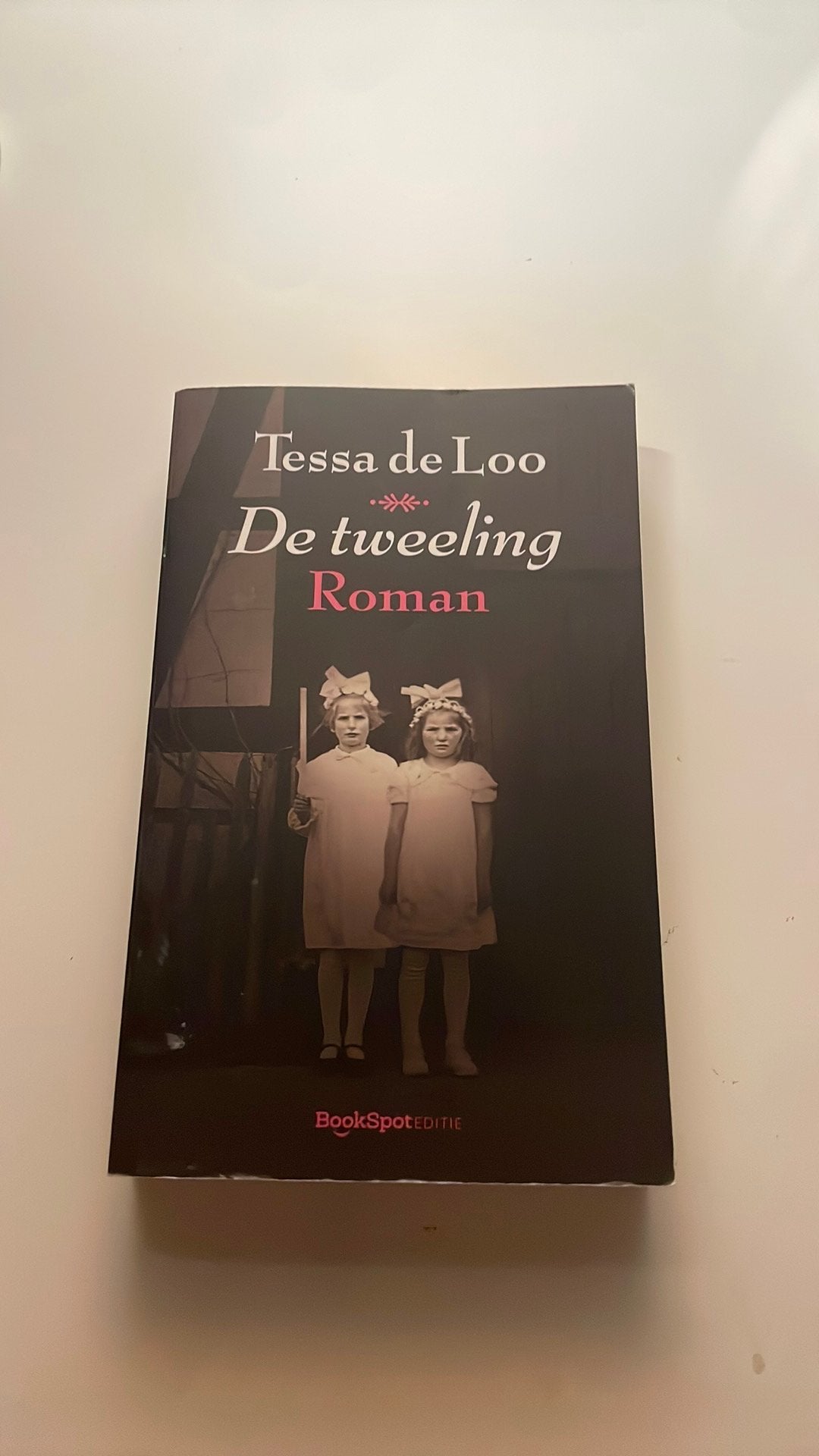 Tessa de Loo- De Tweeling, Boeken, Verzenden, Zo goed als nieuw