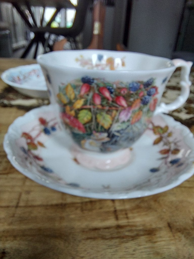 Royal Doulton Brambly Hedge 2 Grote Kop en Schotel Duo, Antiek en Kunst, Ophalen of Verzenden