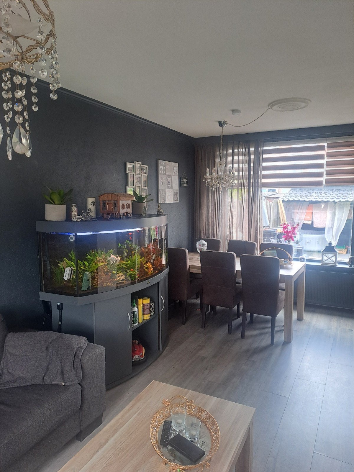 Te koop compleet aquarium juwel vision 450, Ophalen, Zo goed als nieuw, Gevuld zoetwateraquarium
