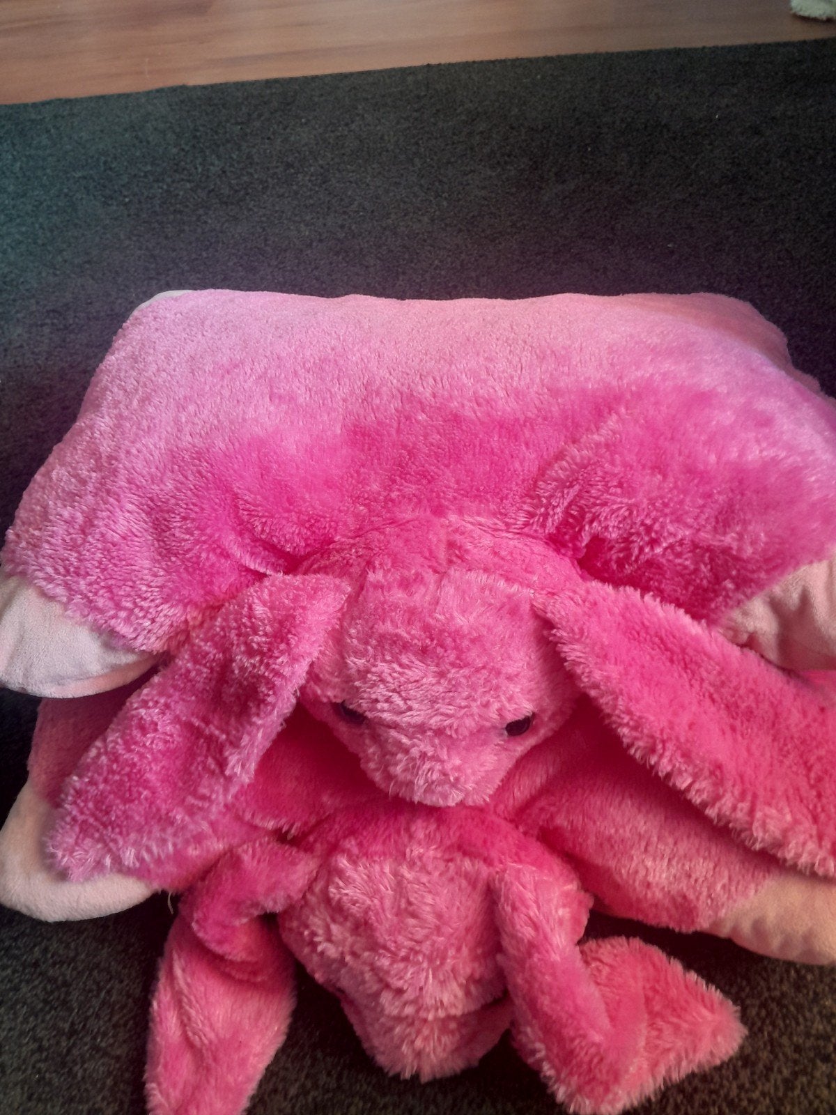 2 Pillow Pets ,roze, Ophalen of Verzenden, Zo goed als nieuw, Overige typen