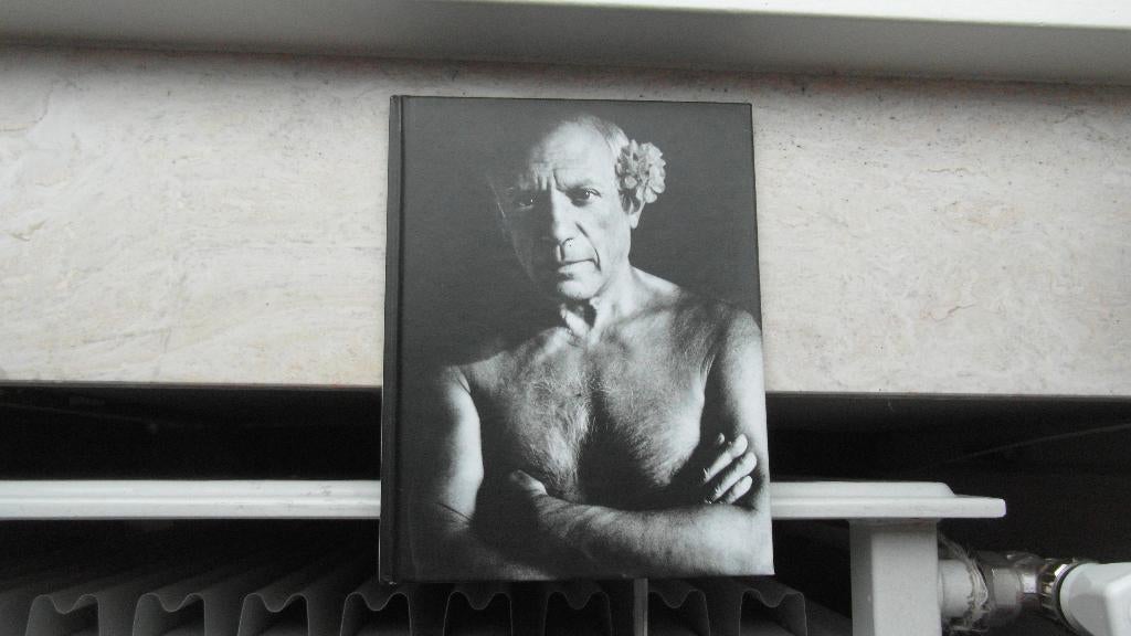 PICASSO - Portretten, fotoboek, nieuw, Boeken, Ophalen of Verzenden, Nieuw, Fotografen