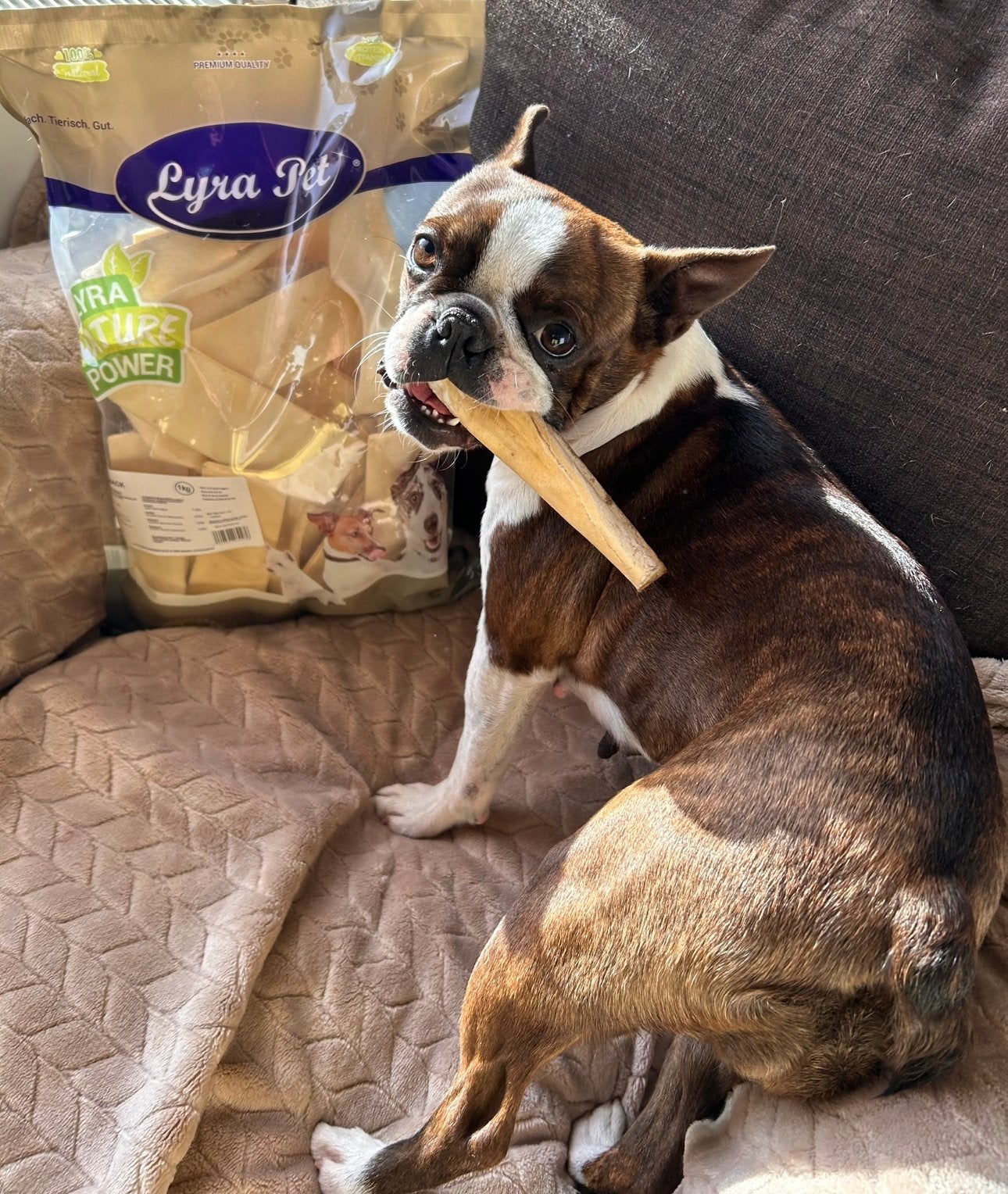 Kauwchips botjes Buffelhuid kluifjes ✅ 1 kg €23,- 2 kg €40,-, Ophalen of Verzenden, Hond
