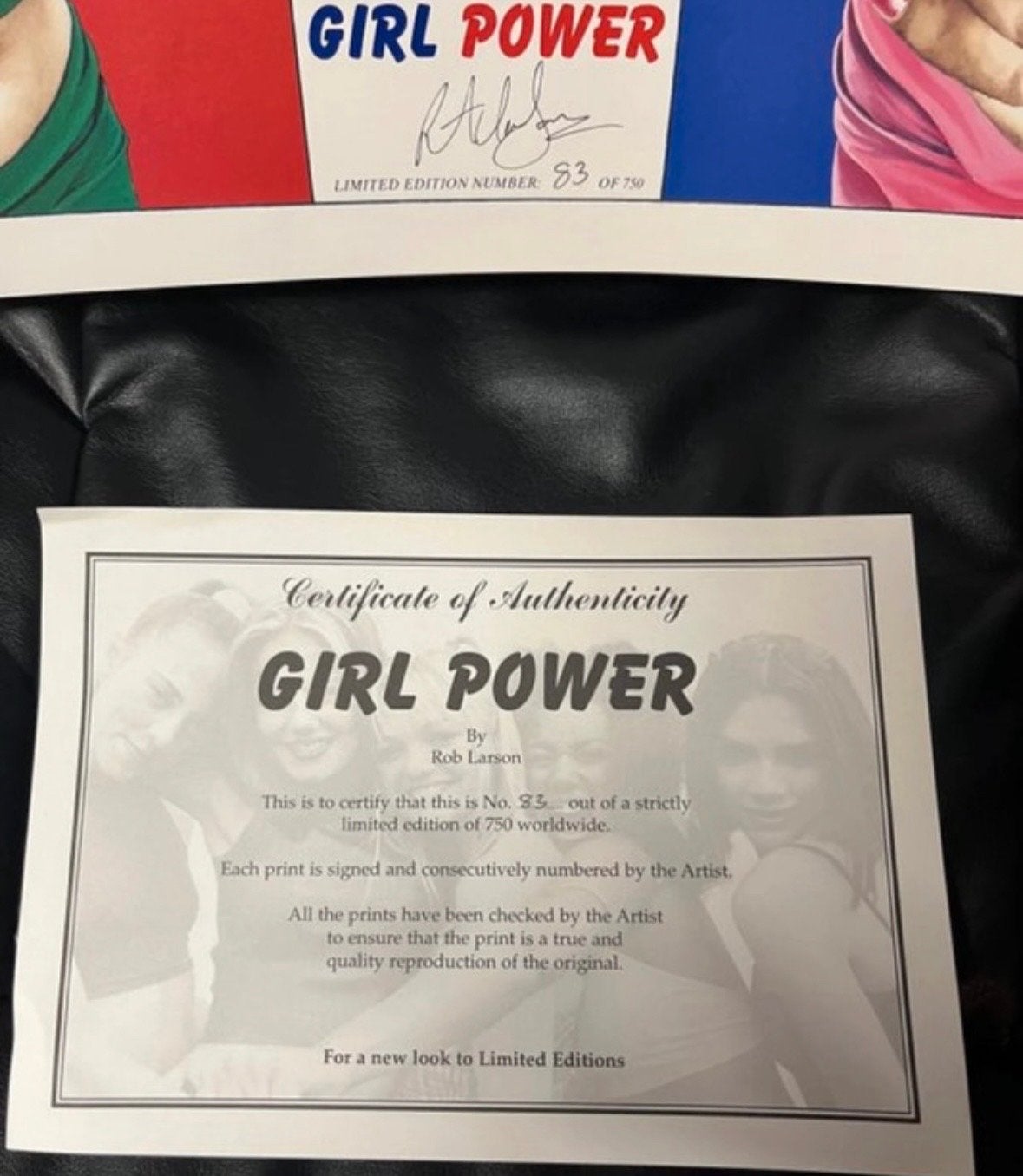 Spice Girls "Girl Power" print Rob Larson (83/750), Gelimiteerde oplage, Verzenden, Portret en Figuren, Offsetdruk