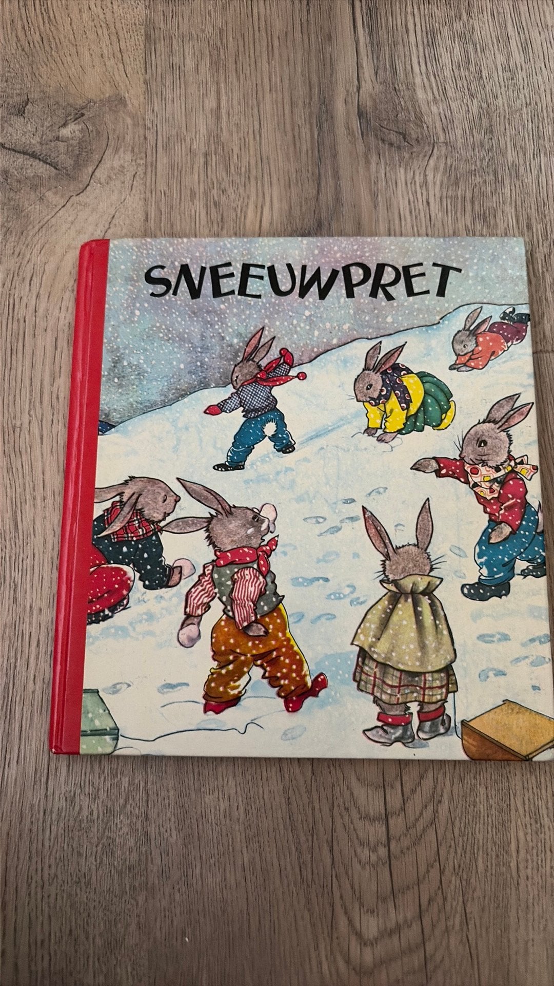 Sneeuwpret Nans van Leeuwen, Ophalen of Verzenden, Gelezen, Fictie algemeen