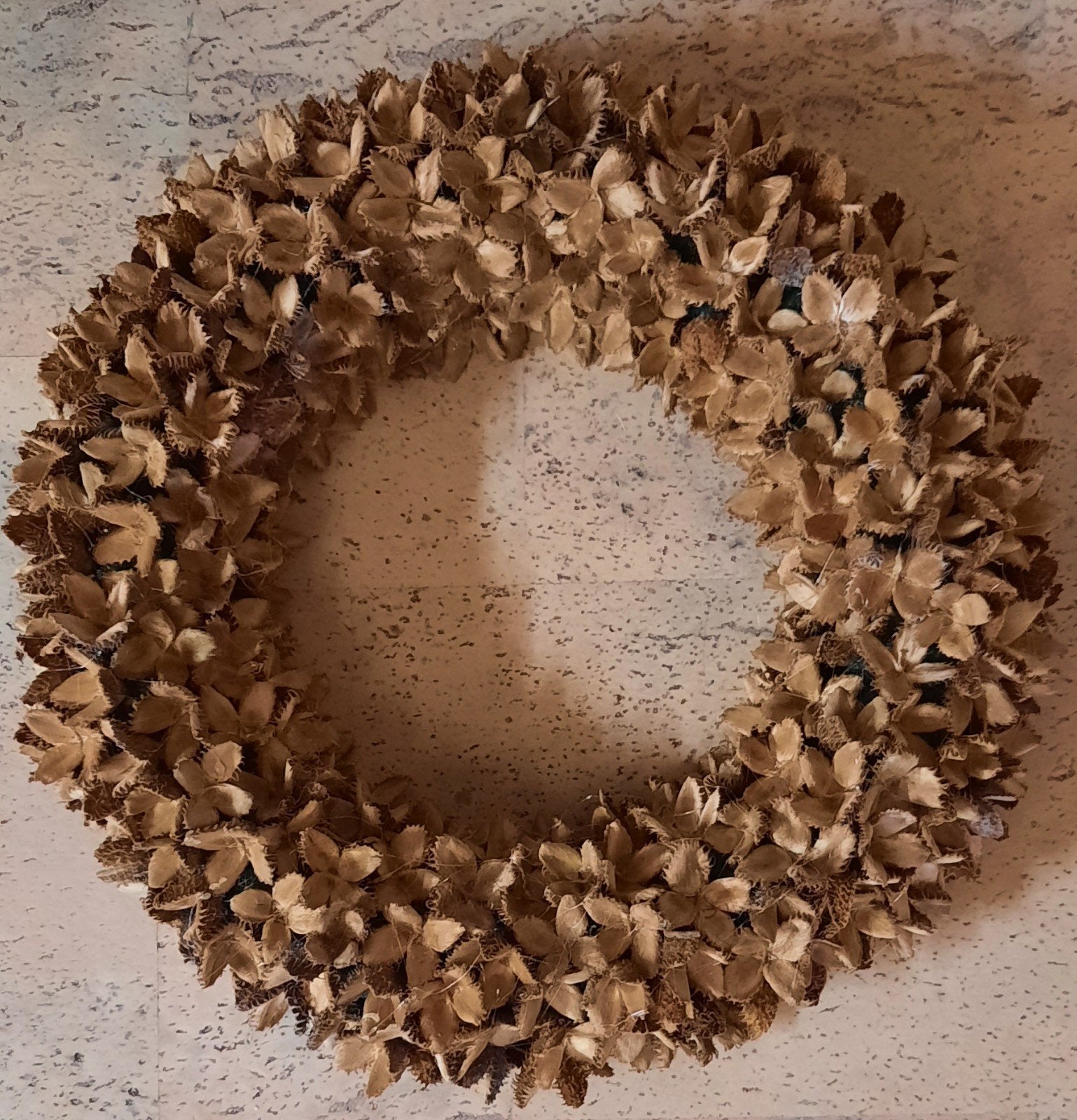Unieke beukennootjes krans, Krans, Nieuw, Ophalen of Verzenden, 35 cm