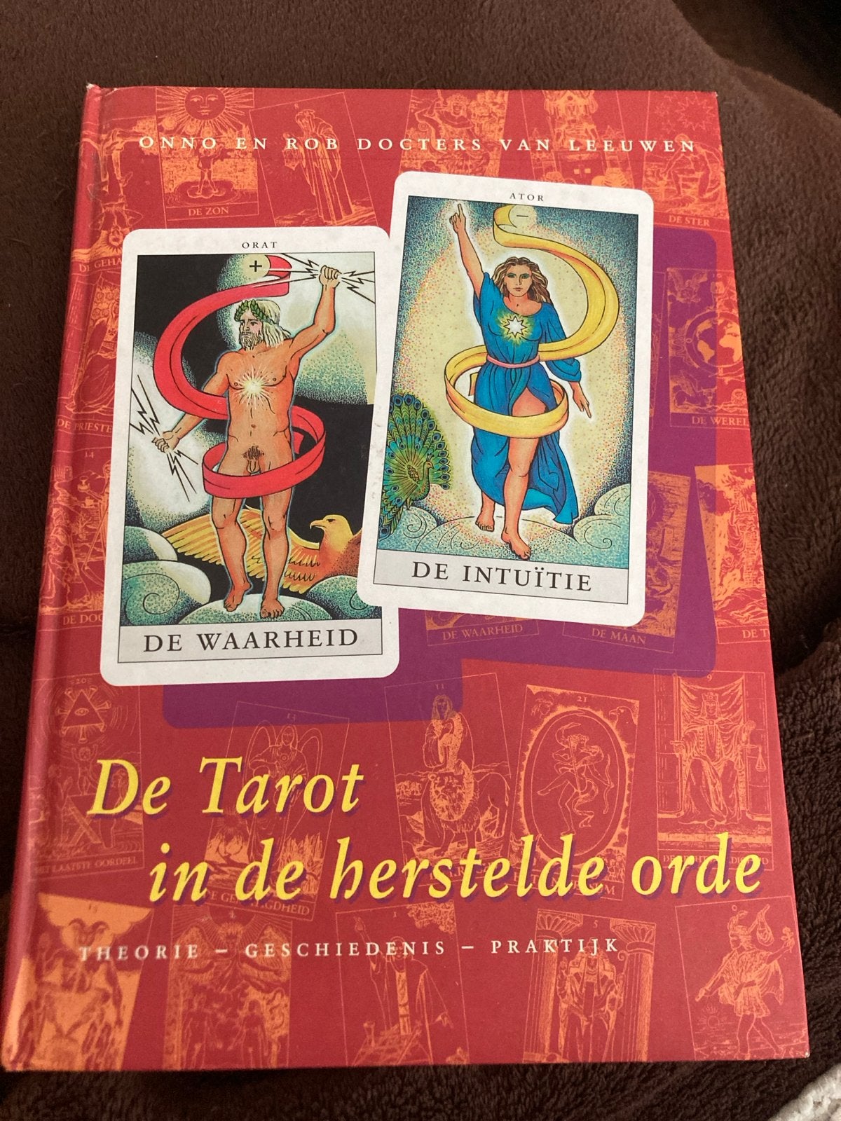 De Tarot in de herstelde orde - Onno en Rob Docters Leeuwen, Boeken, Ophalen of Verzenden, Gelezen, Tarot of Kaarten leggen, Achtergrond en Informatie