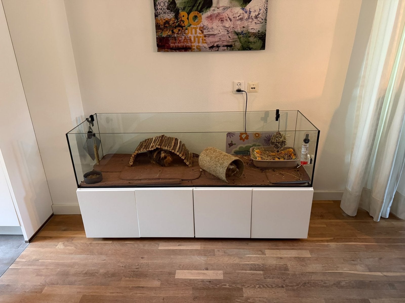 Volledige cavia uitzet + evt cavia’s, Dieren en Toebehoren, Ophalen, 110 cm of meer, Zo goed als nieuw, 90 cm of meer