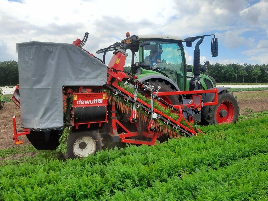 Dewulf P3 wortelrooier/klembanderooier, Overige, Oogstmachine