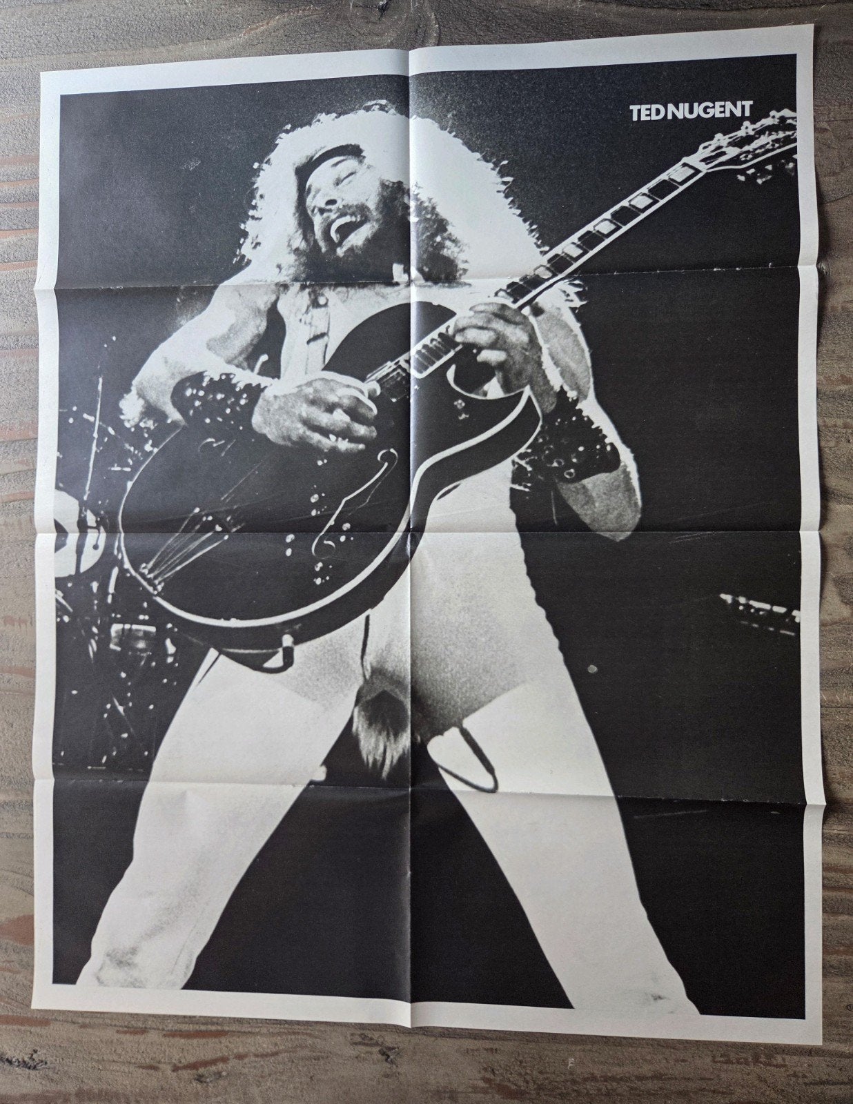 Vintage Ted Nugent Poster - Zwart-wit Muziek Poster, Ophalen of Verzenden, Zo goed als nieuw, A1 t/m A3, Muziek