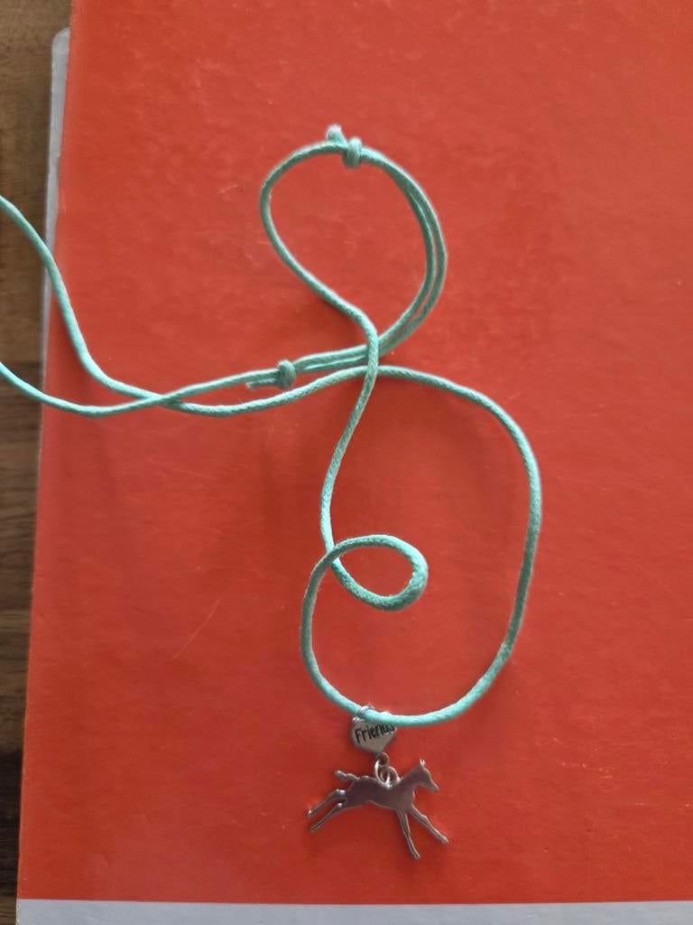 Ketting met paarden 2x, Sieraden, Tassen en Uiterlijk, Kettingen, Ophalen of Verzenden, Zo goed als nieuw