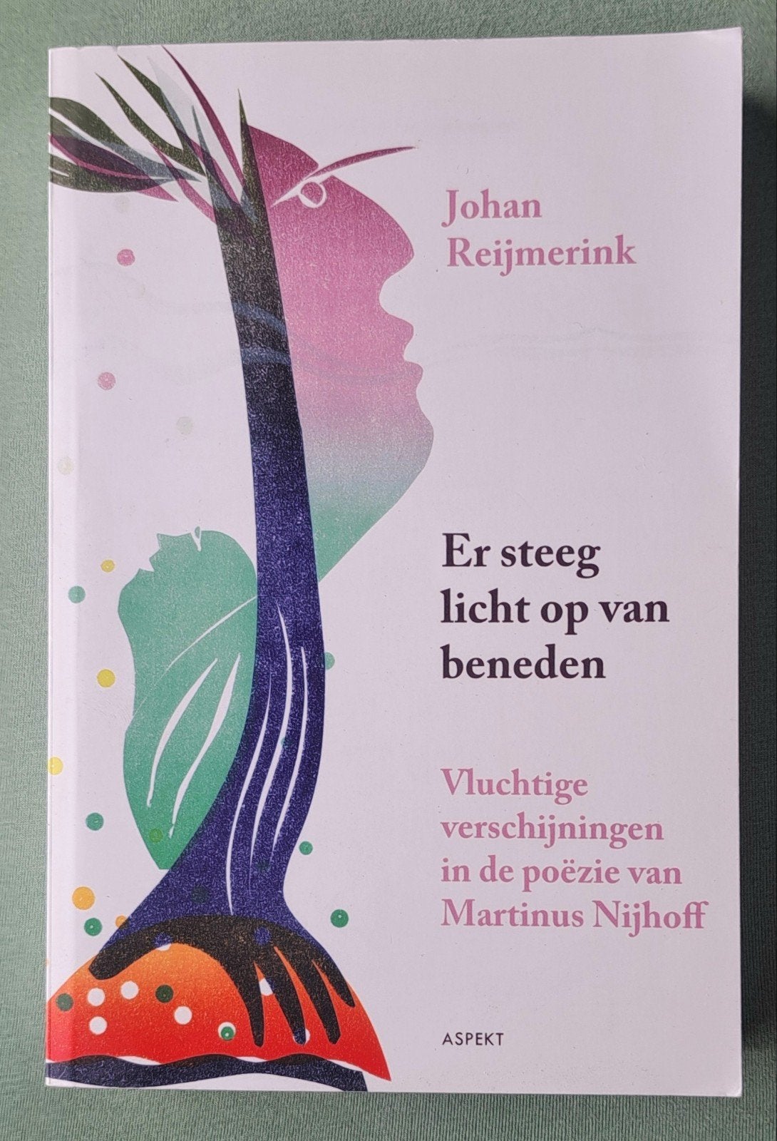 Er steeg licht op van beneden poëzie van Martinus Nijhoff, Boeken, Ophalen of Verzenden, Nieuw, Martinus Nijhoff - Johan Reijmerink