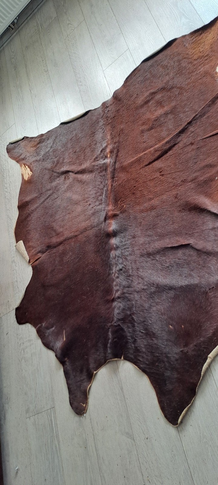 3 koeienhuiden, Ophalen, Gebruikt, Bruin, 150 tot 200 cm