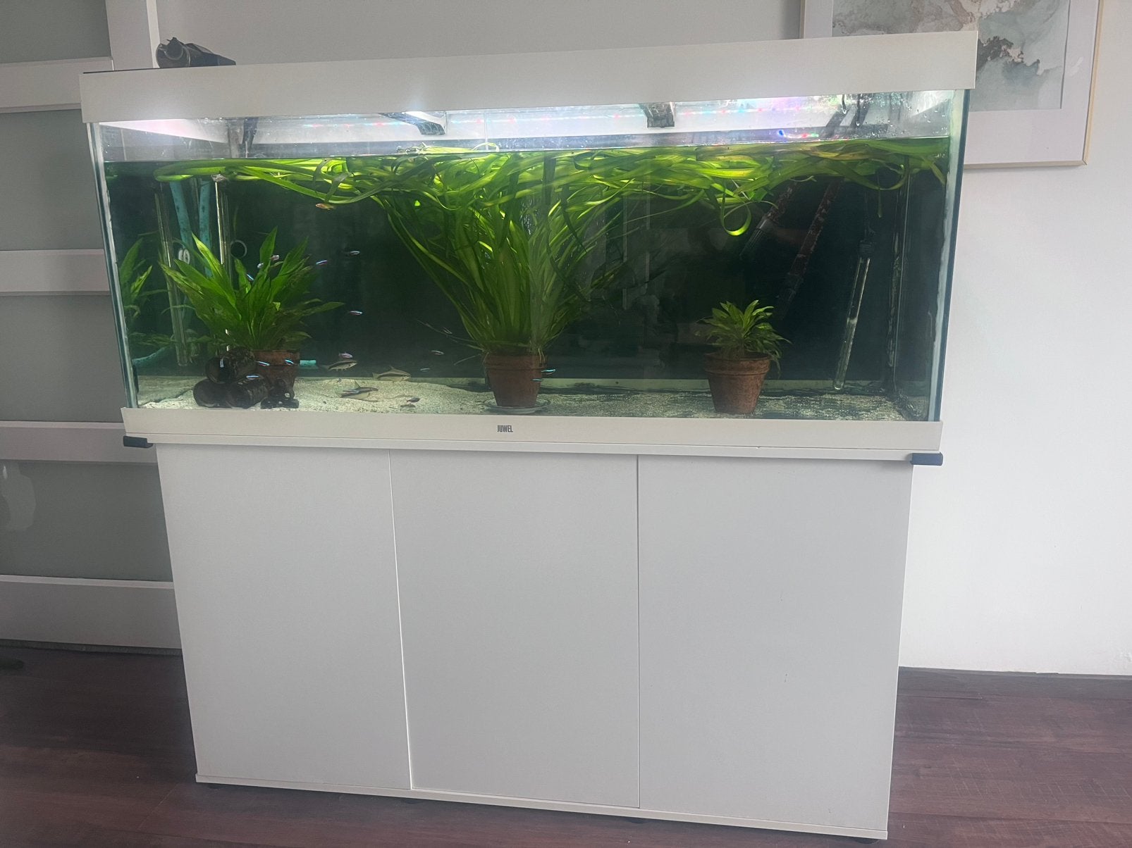 Complet Aquarium Juwel 450l, Dieren en Toebehoren, Ophalen, Zo goed als nieuw, Leeg aquarium