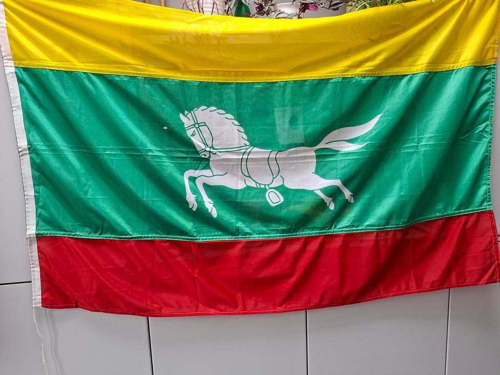 Vlag van Zuidlaren. afm 92 x 148 cm.Dokkumer vlaggencentrale, Diversen, Ophalen of Verzenden, Zo goed als nieuw