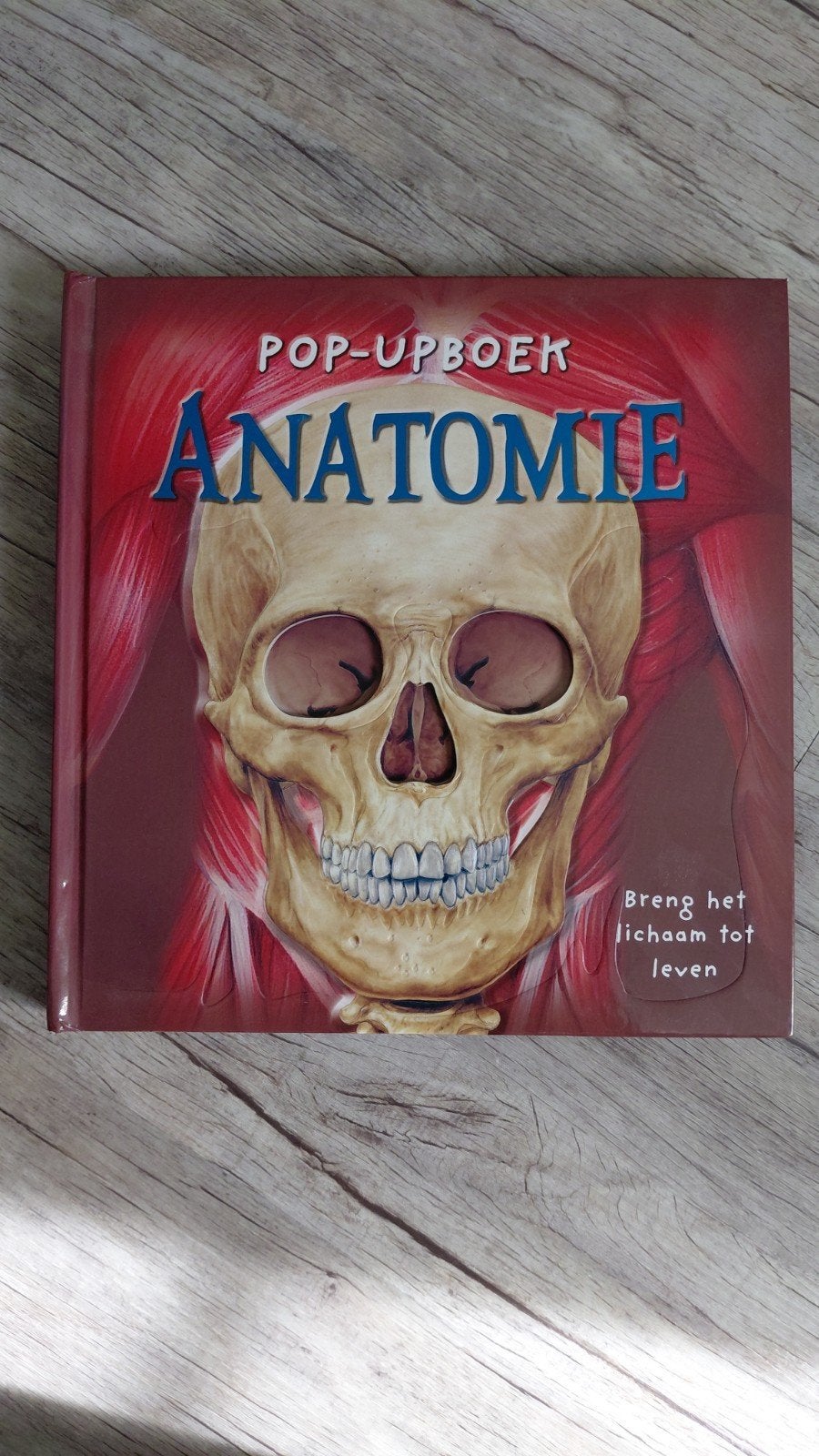 Pop-upboek Anatomie: Breng het lichaam tot leven, Ophalen of Verzenden, Gelezen, Steve Magglet, Natuurwetenschap