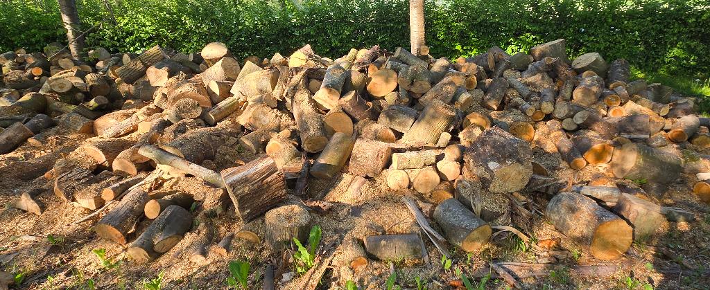 Haardhout, Tuin en Terras, Haardhout, 6 m³ of meer, Ophalen, Overige houtsoorten, Blokken